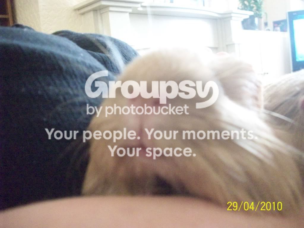 100_2955.jpg