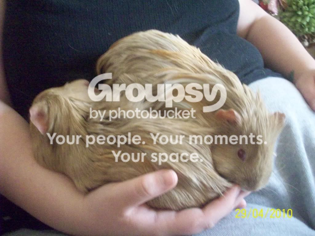 100_2961.jpg