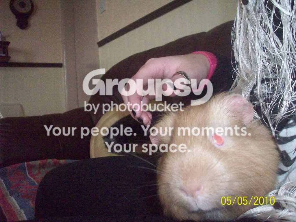 100_2968.jpg