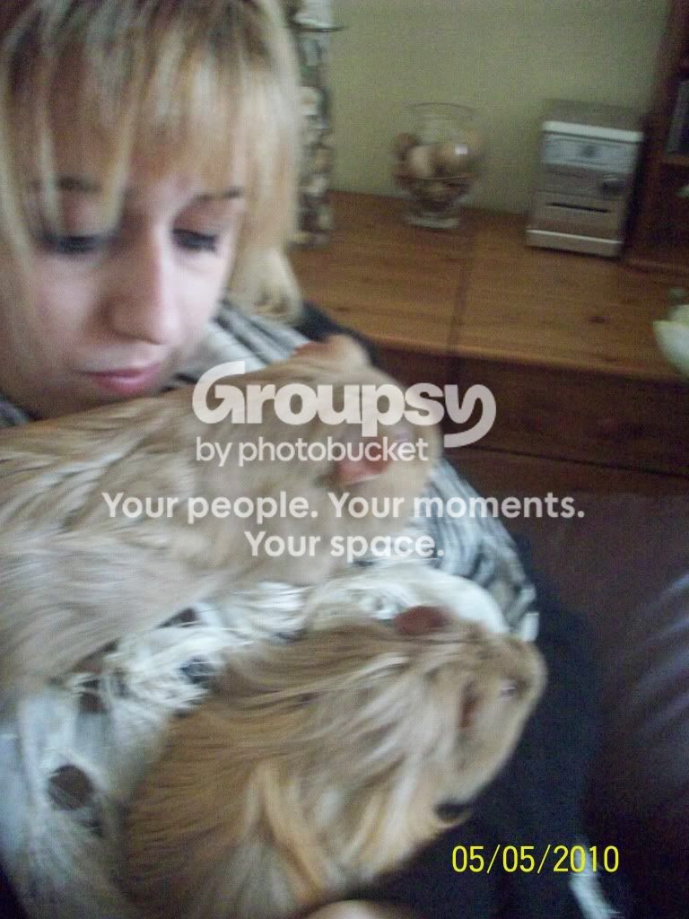 100_2971.jpg