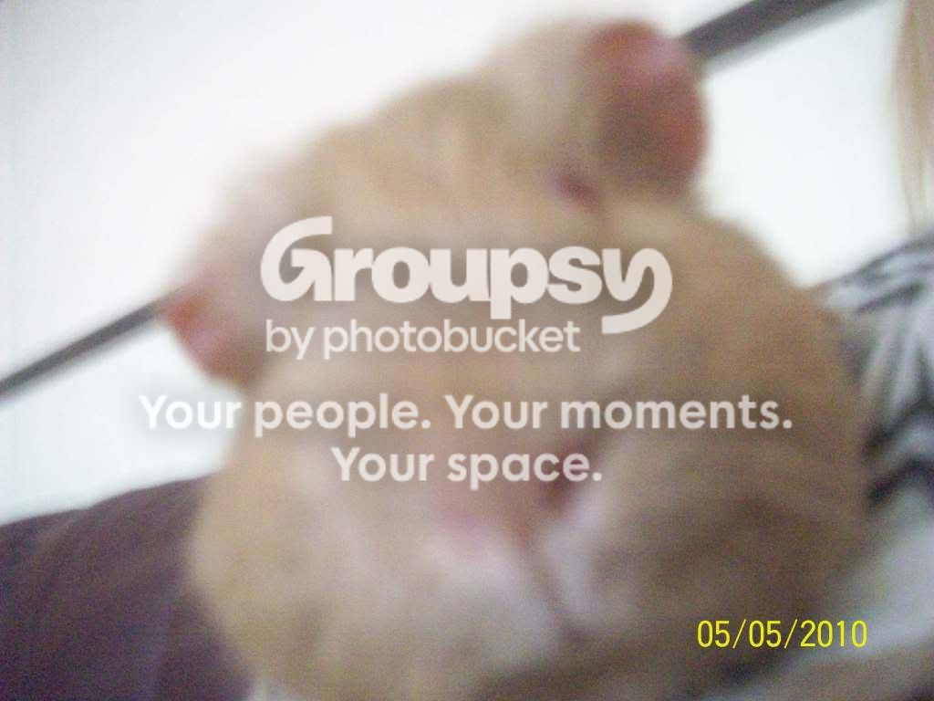 100_2973.jpg