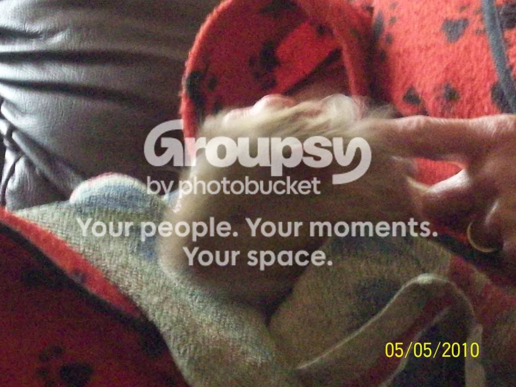 100_2979.jpg