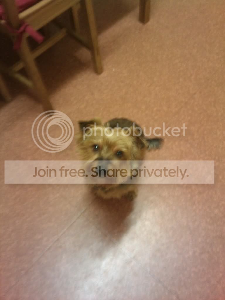 IMAG_0028.jpg