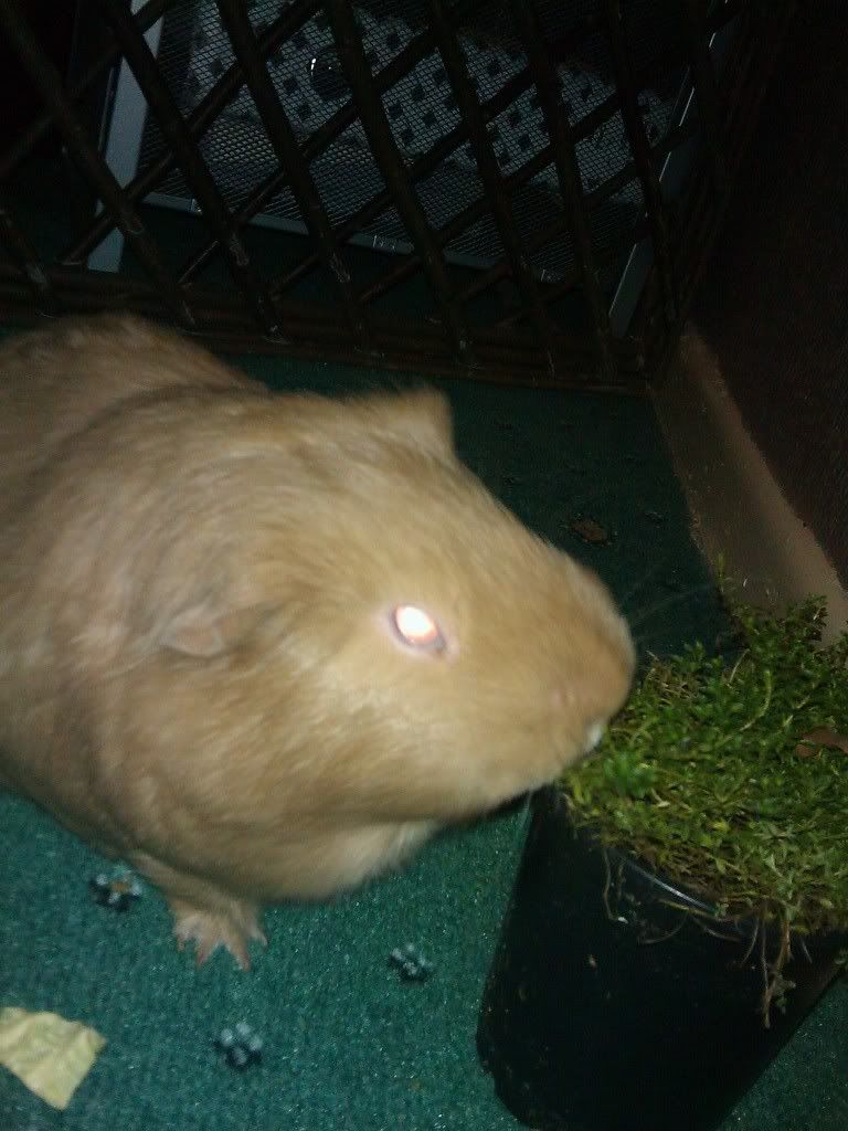IMAG_0031.jpg