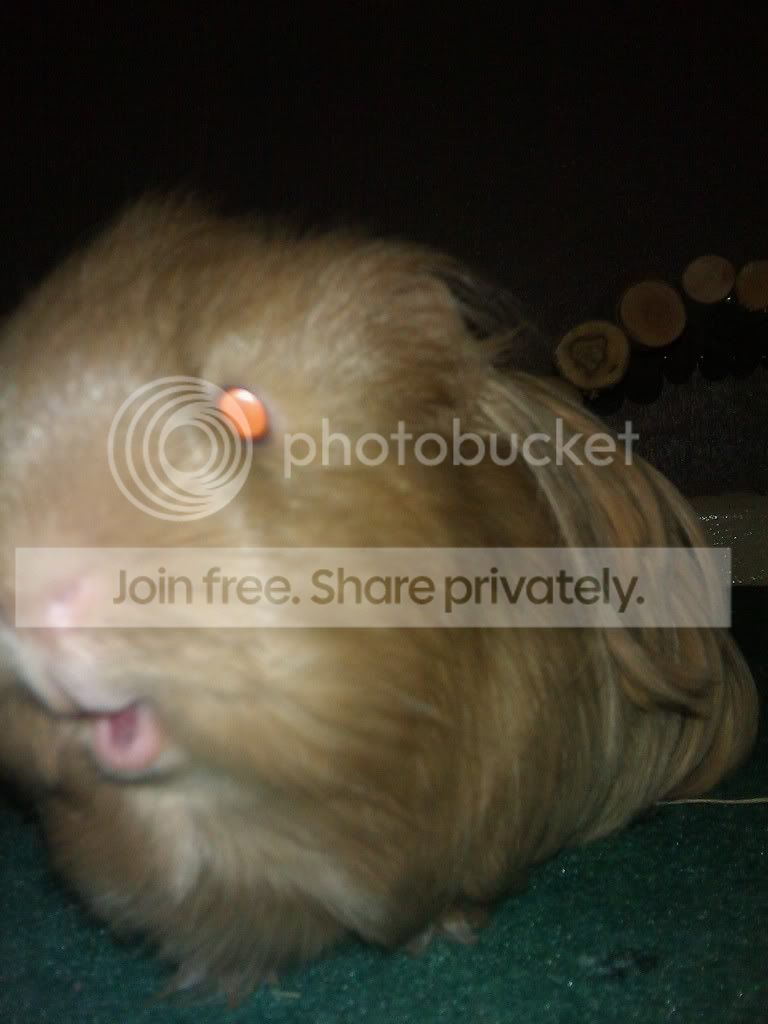 IMAG_0032.jpg